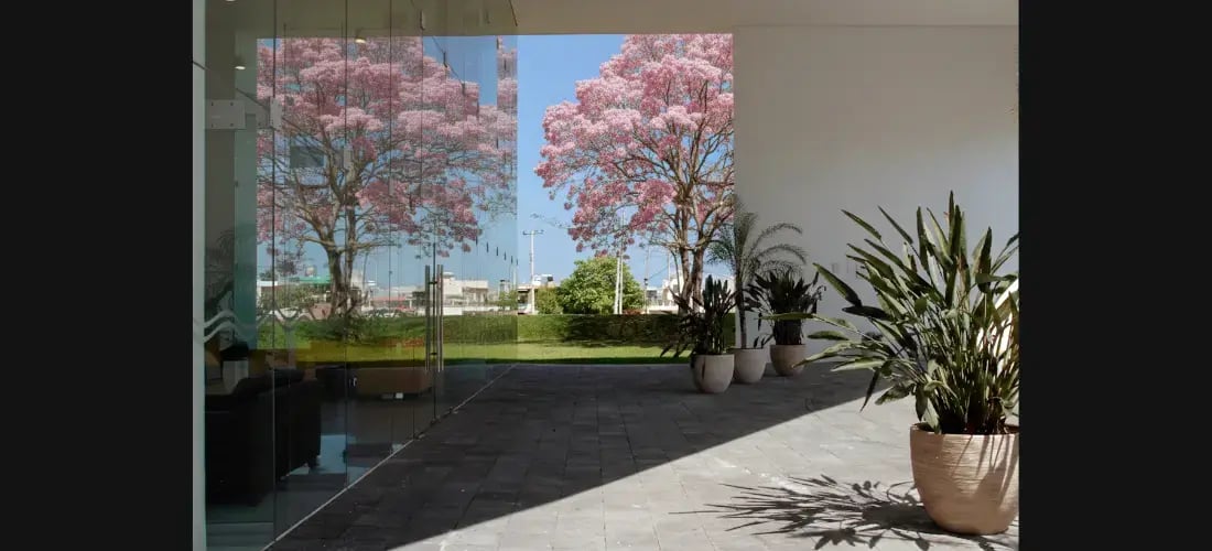 Distribución inteligente